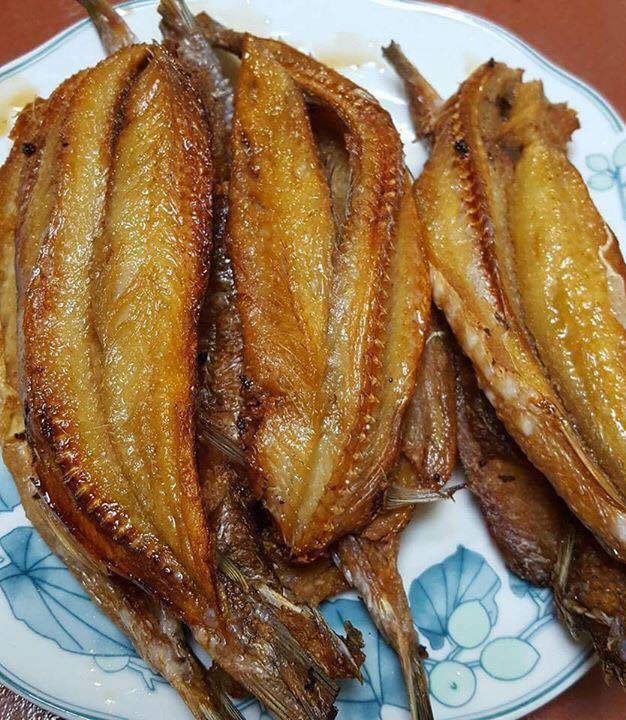 CÁ MỐI 1 NẮNG