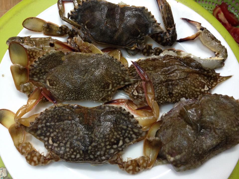 GHẸ LỘT VỎ PHÚ QUỐC