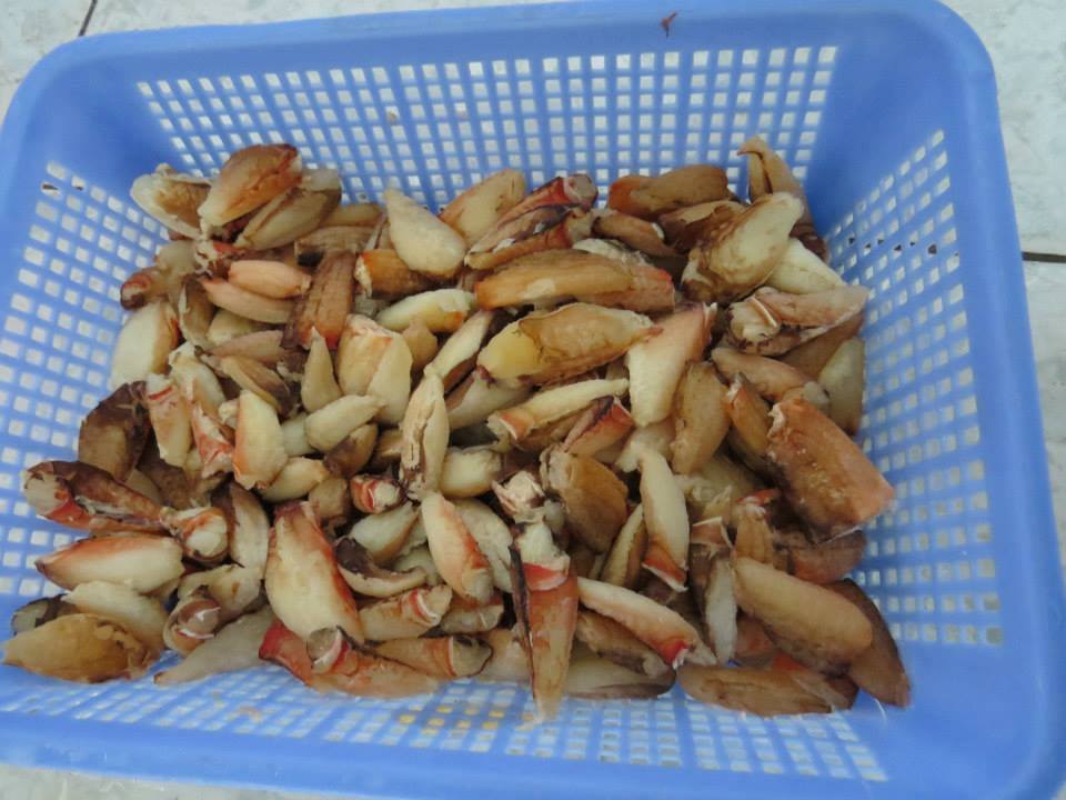 Vế cua